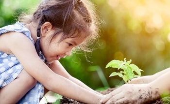 A little girl planting in a garden